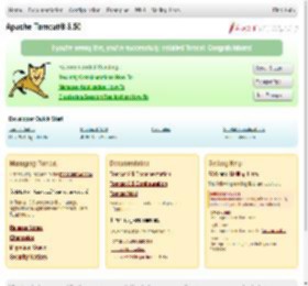 Apache Tomcat/8.5.50