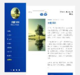 
			长沙SEO优化网站关键词排名-免费SEO推广技术培训教程-大树SEO		